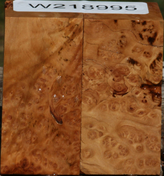 Figured Kanista Burl Bottle Stopper 2 Pack