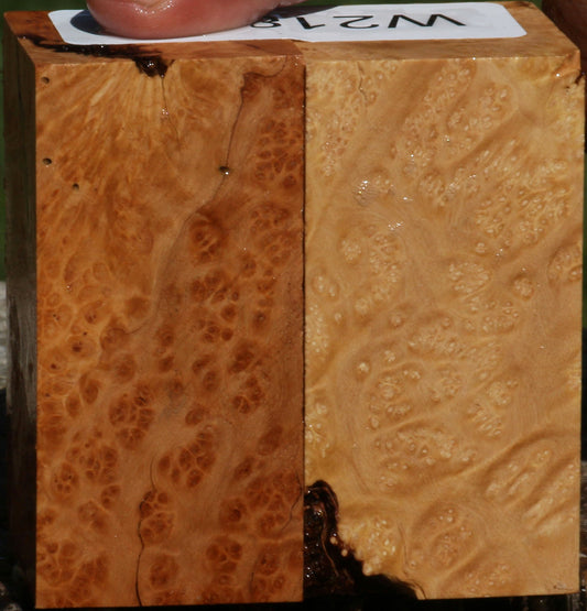 Figured Kanista Burl Bottle Stopper 2 Pack