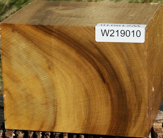 Figured Gold Myrtle Bowl Blank