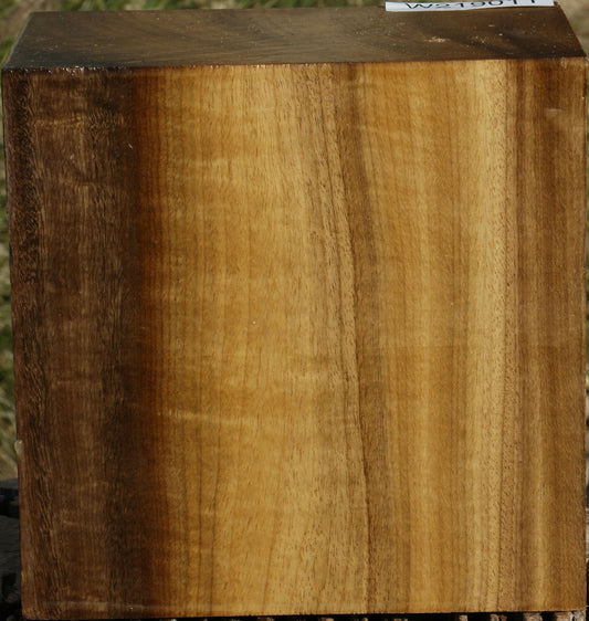 Figured Gold Myrtle Bowl Blank