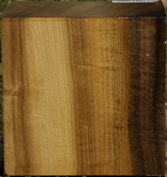 Extra Fancy Gold Myrtle Bowl Blank