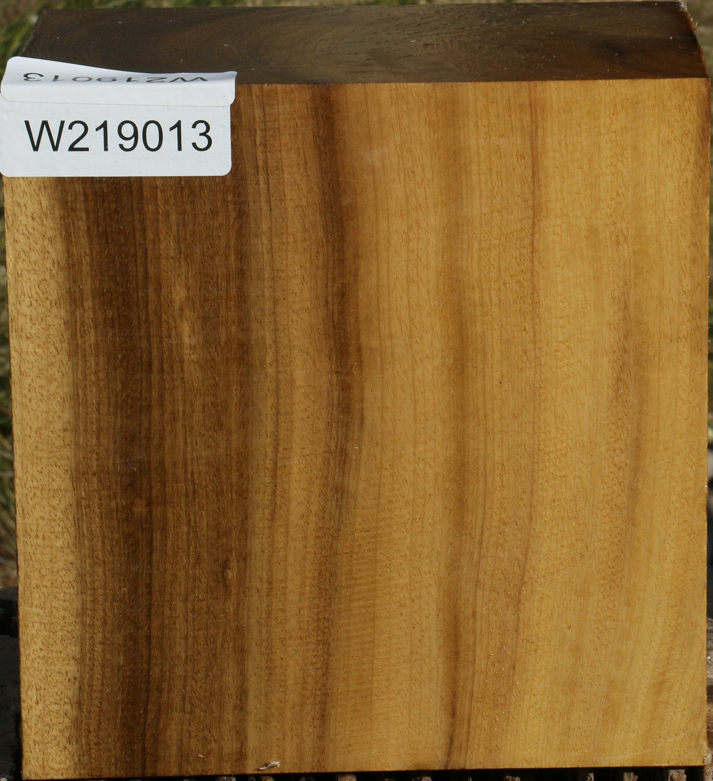 Figured Gold Myrtle Bowl Blank