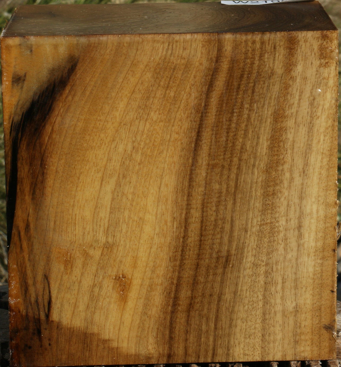 Figured Gold Myrtle Bowl Blank