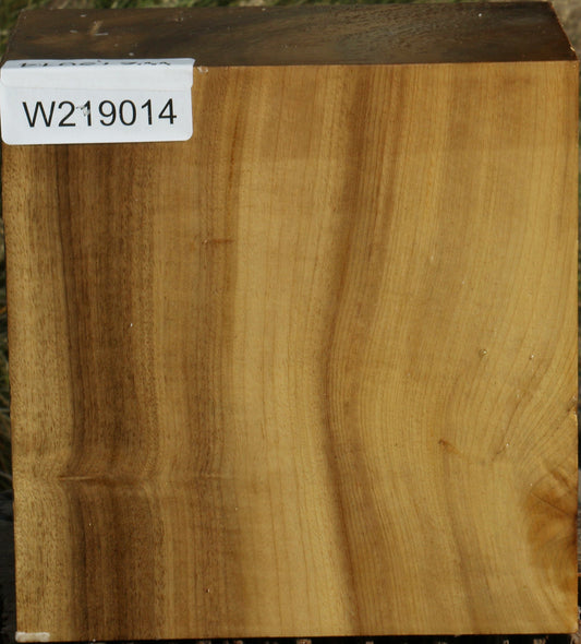 Gold Myrtle Bowl Blank