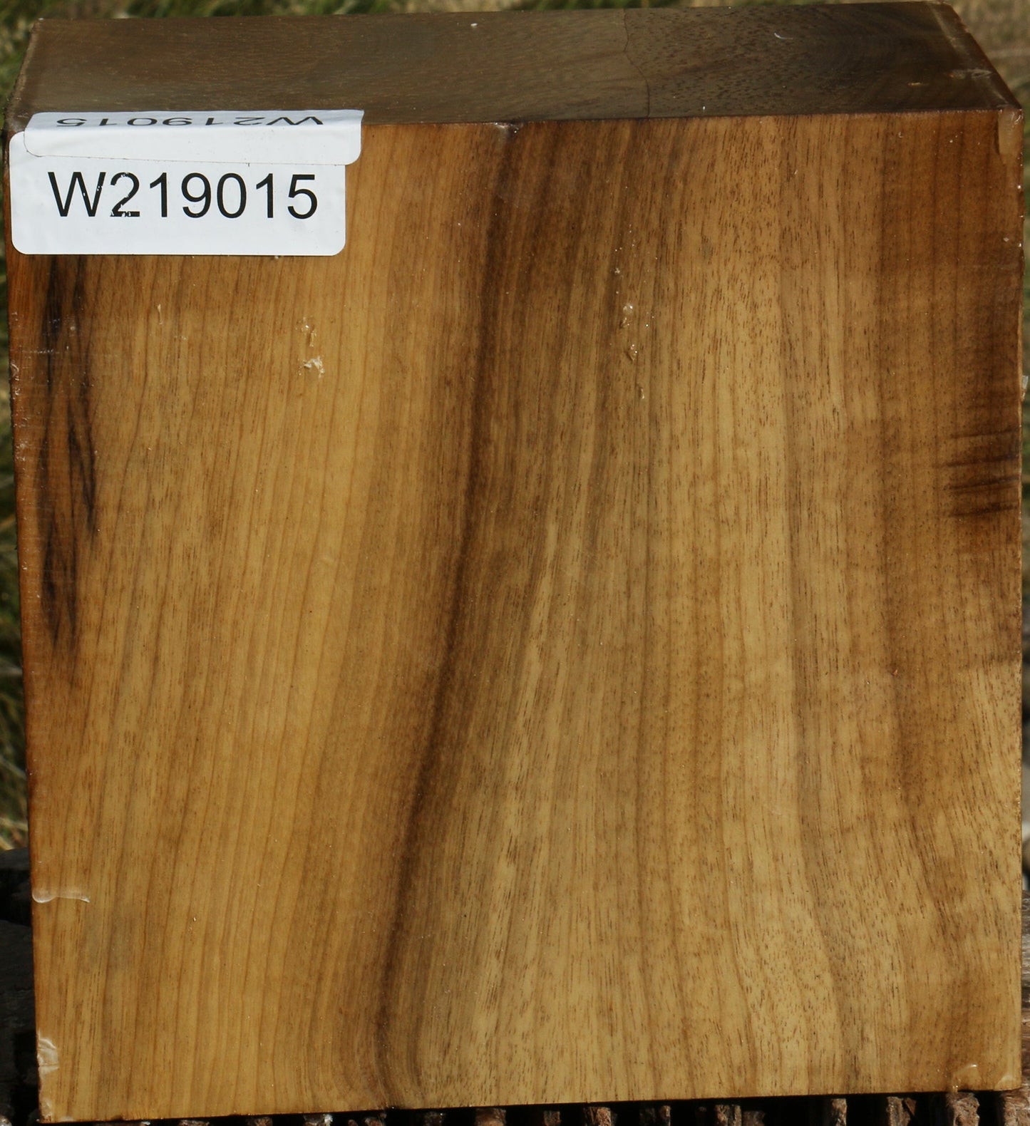 Figured Gold Myrtle Bowl Blank