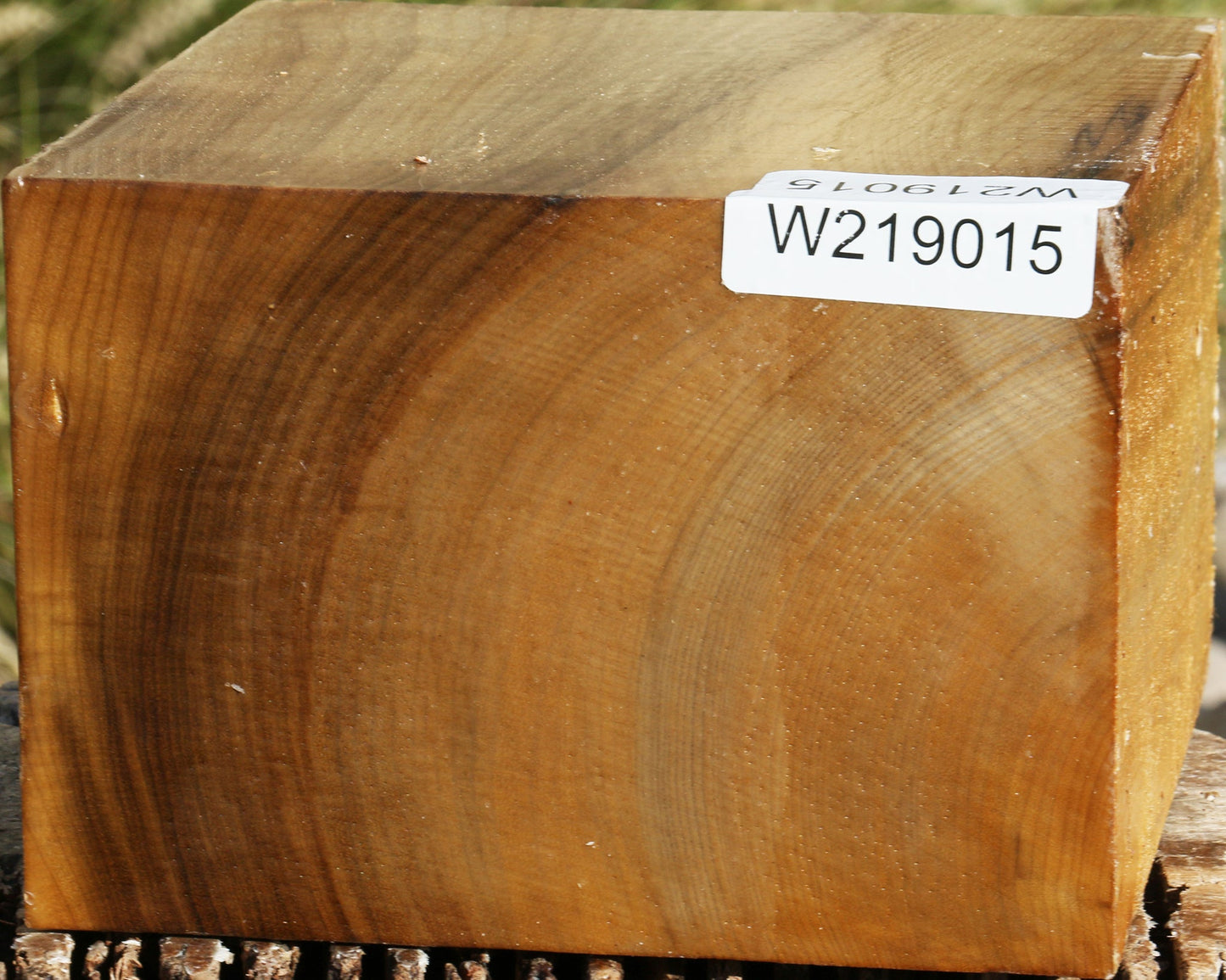 Figured Gold Myrtle Bowl Blank