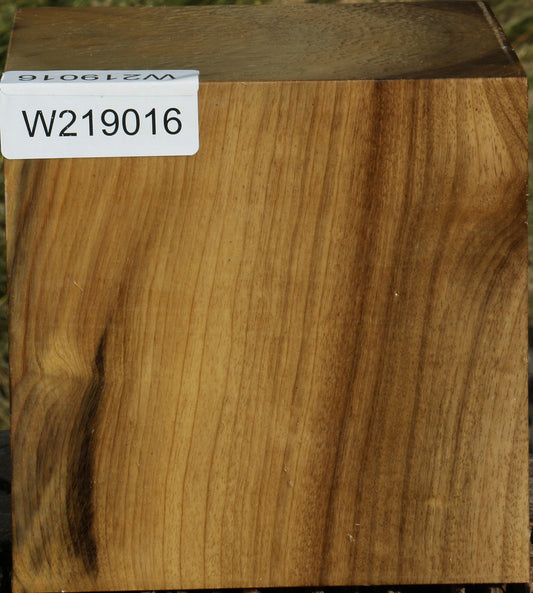 Figured Gold Myrtle Bowl Blank