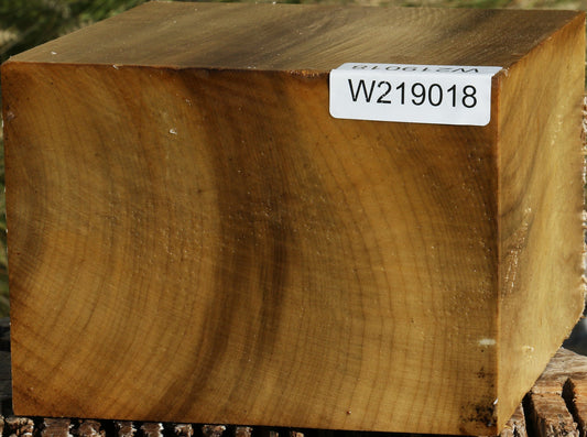 Figured Gold Myrtle Bowl Blank