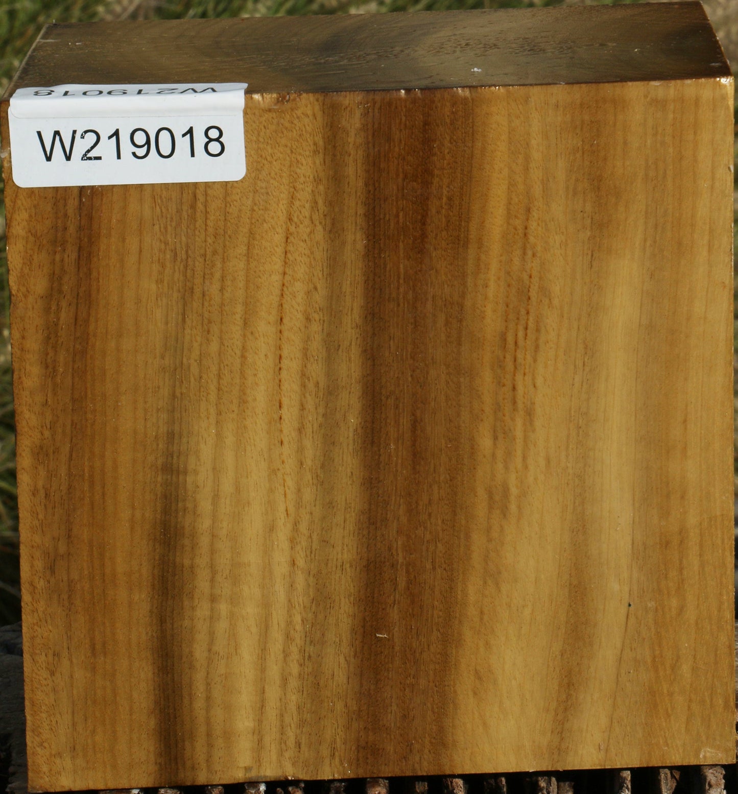 Figured Gold Myrtle Bowl Blank