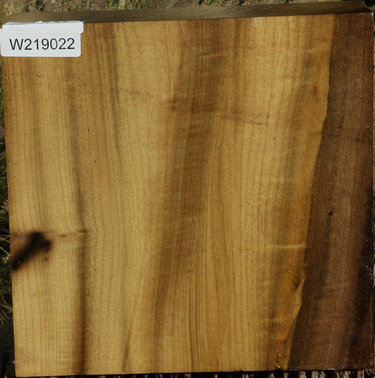 Figured Gold Myrtle Bowl Blank