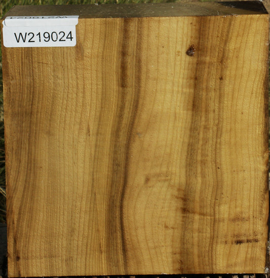 Figured Gold Myrtle Bowl Blank