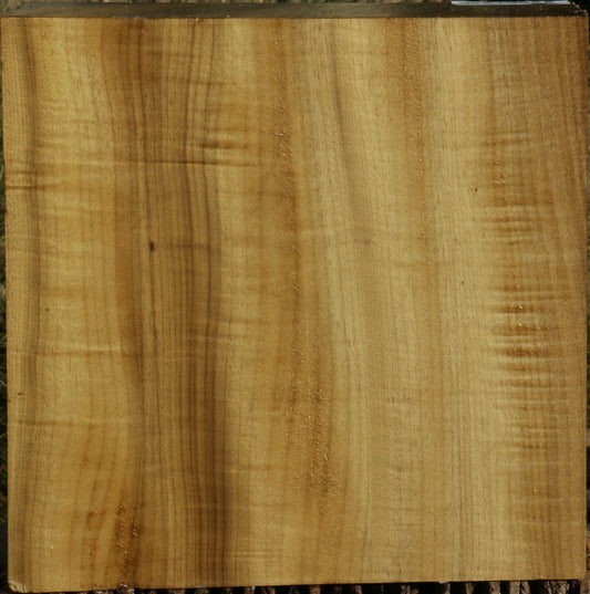 Figured Gold Myrtle Bowl Blank