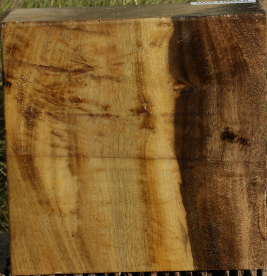 Figured Gold Myrtle Bowl Blank