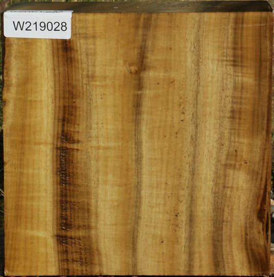 Figured Gold Myrtle Bowl Blank