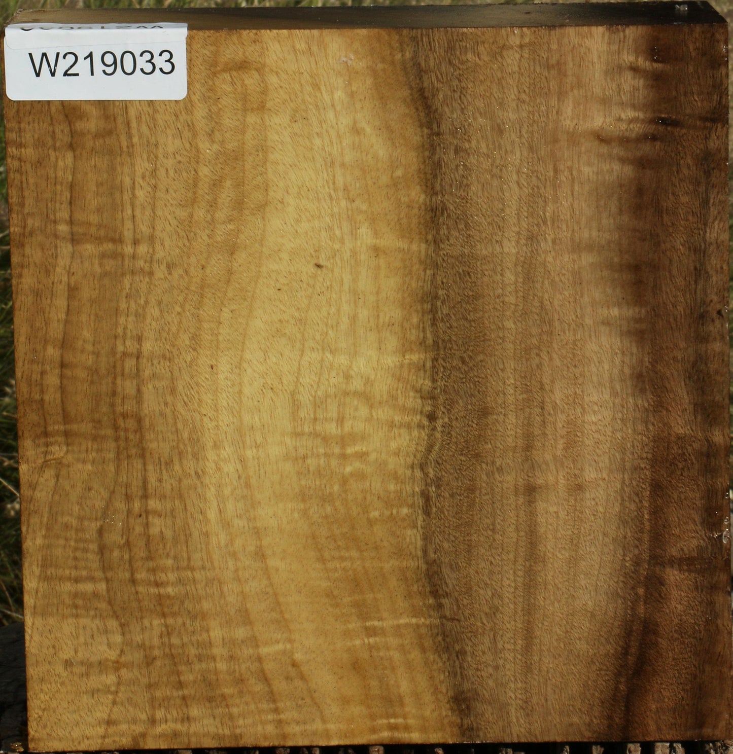 Figured Gold Myrtle Bowl Blank