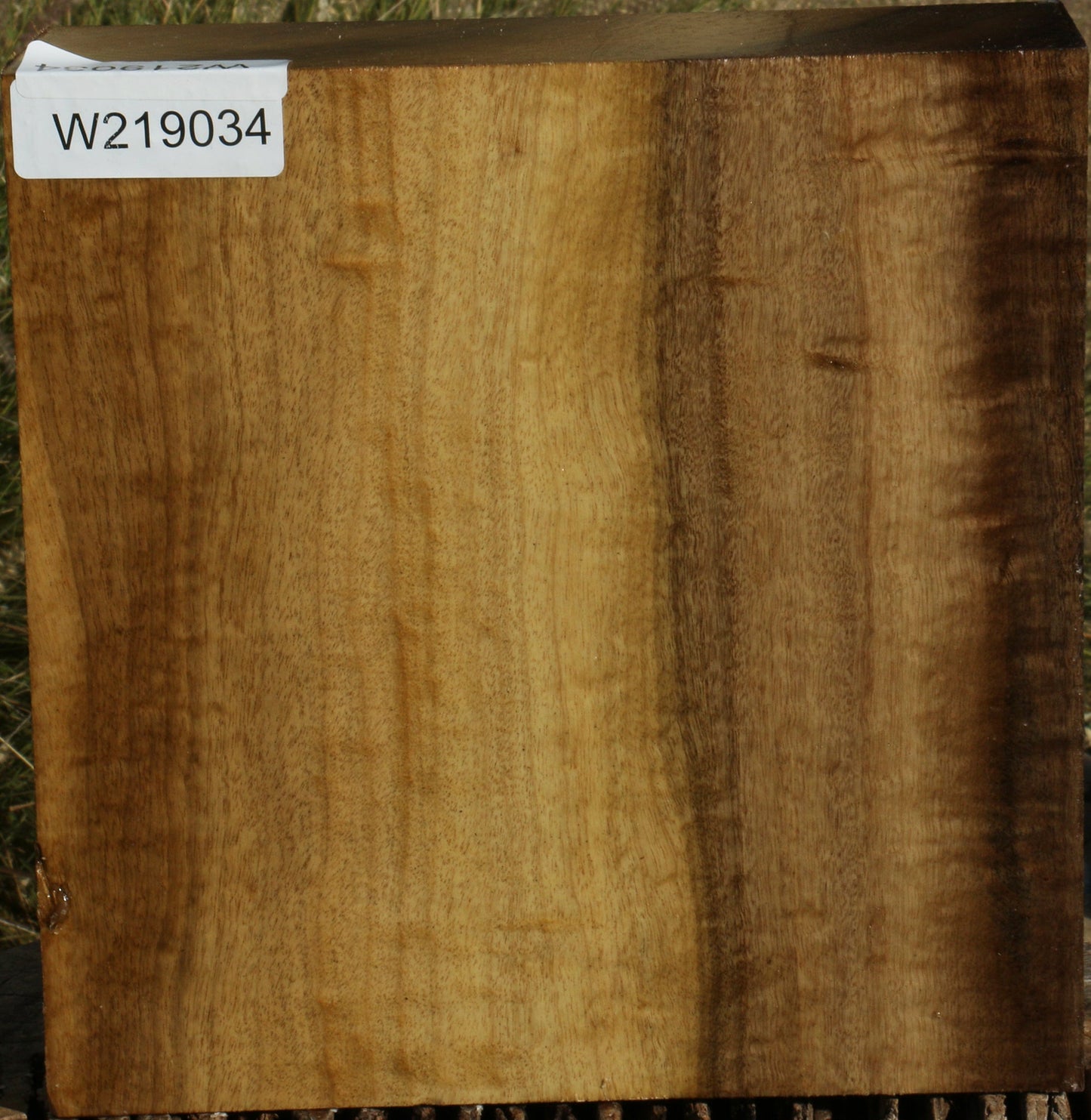 Figured Gold Myrtle Bowl Blank