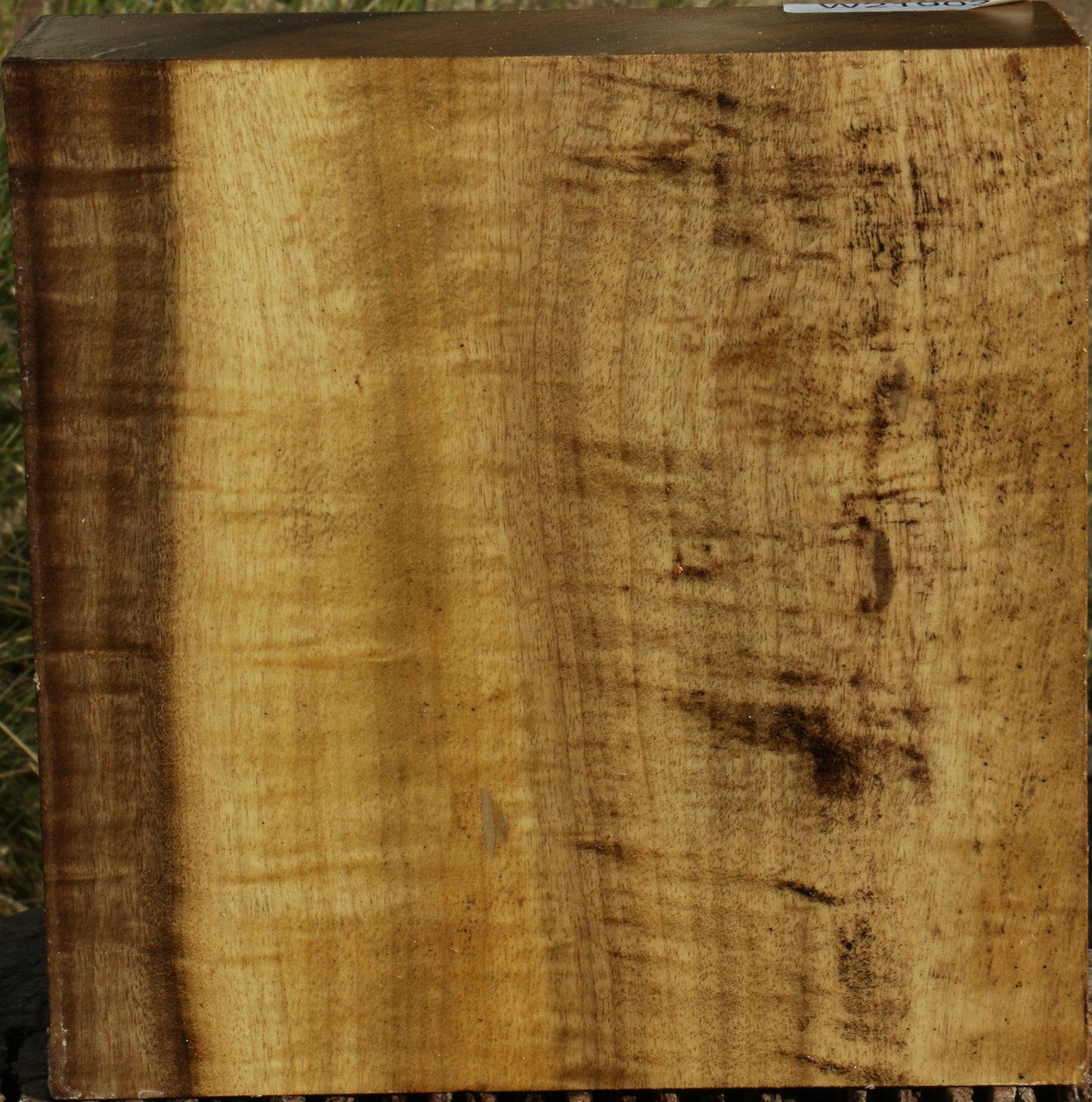 Figured Gold Myrtle Bowl Blank