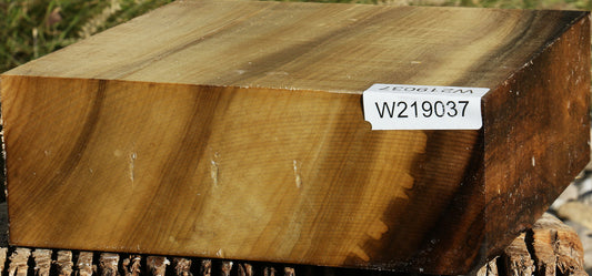 Figured Gold Myrtle Bowl Blank