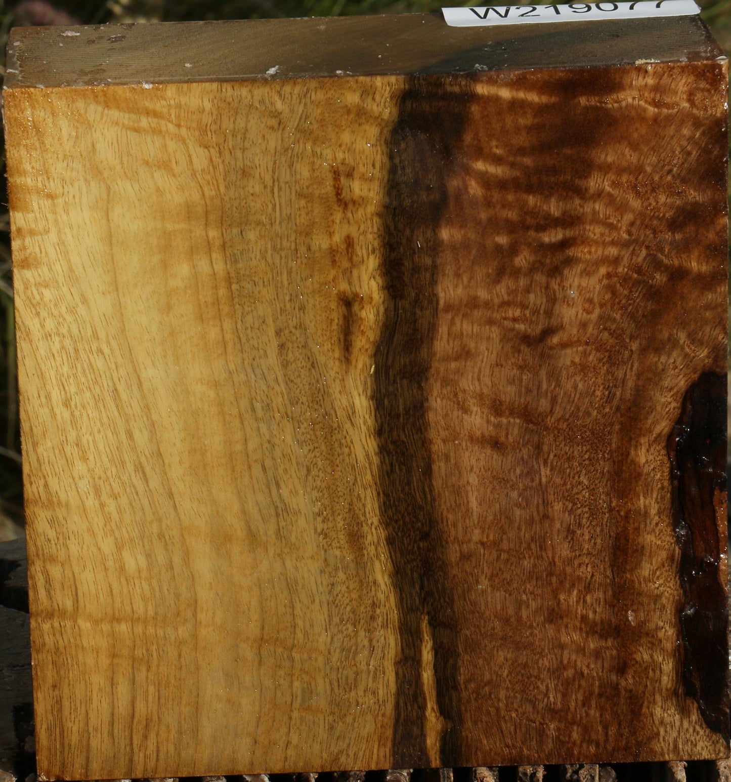 Extra Fancy Gold Myrtle Bowl Blank