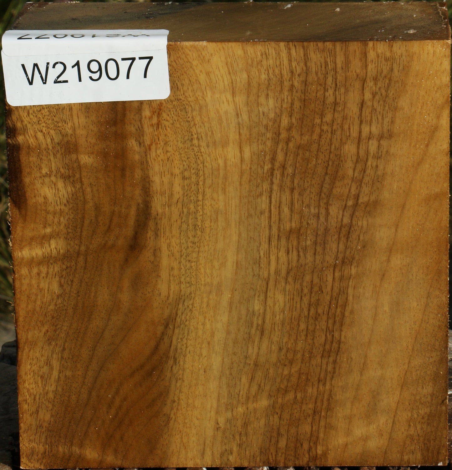 Extra Fancy Gold Myrtle Bowl Blank