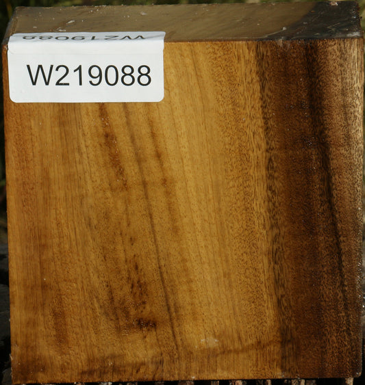 Figured Gold Myrtle Bowl Blank