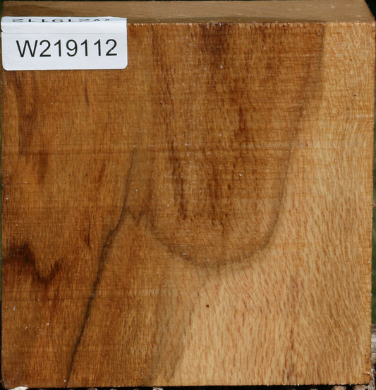 Figured Cork Oak Bowl Blank