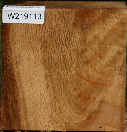 Figured Cork Oak Bowl Blank