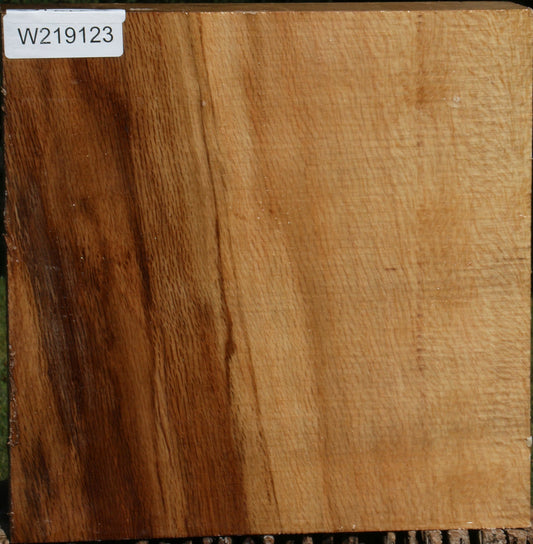 Figured Cork Oak Bowl Blank