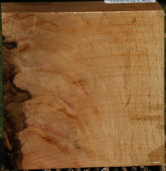 Figured Cork Oak Bowl Blank