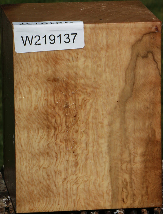 Cork Oak Turning Square