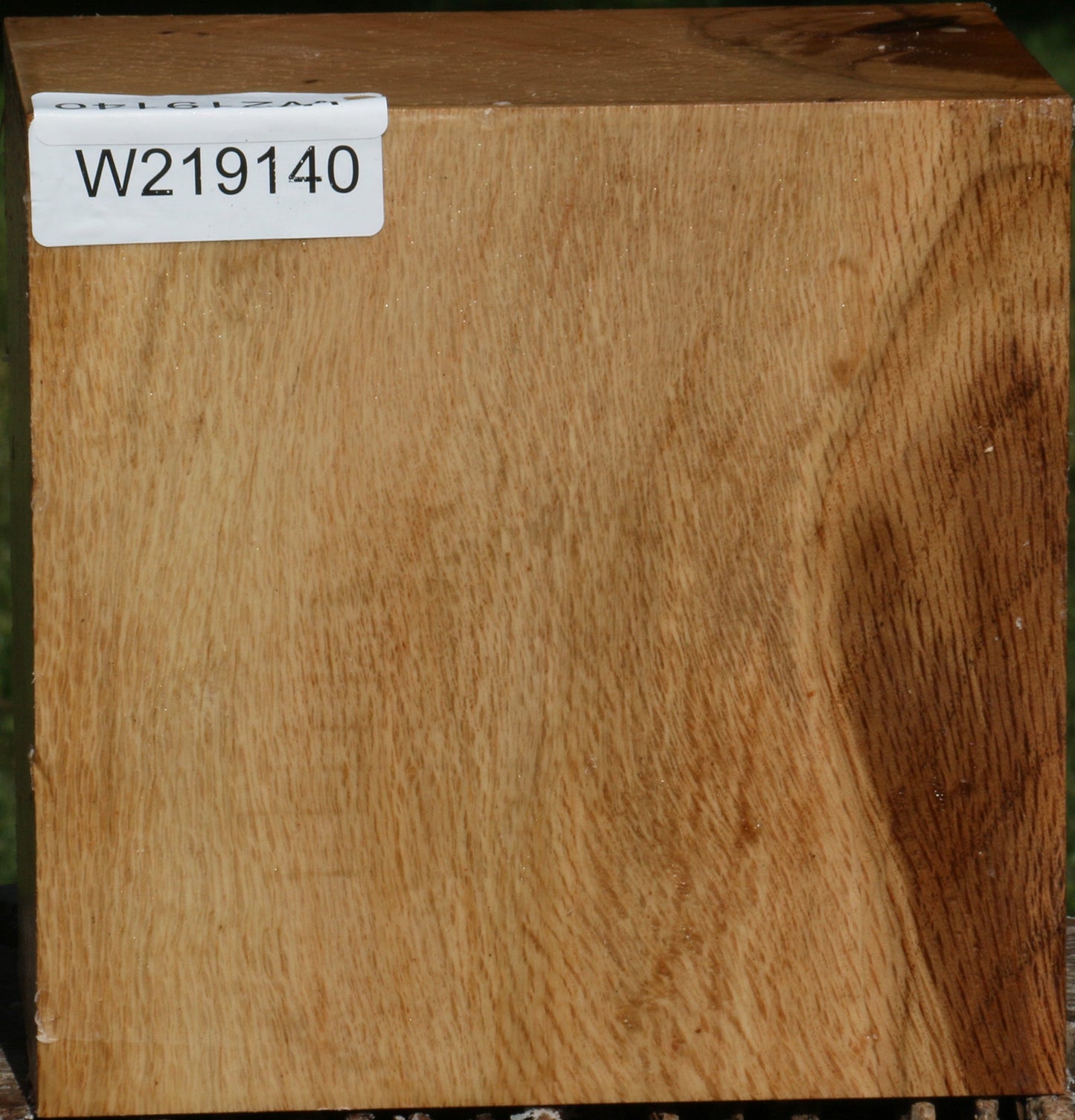 Figured Cork Oak Bowl Blank