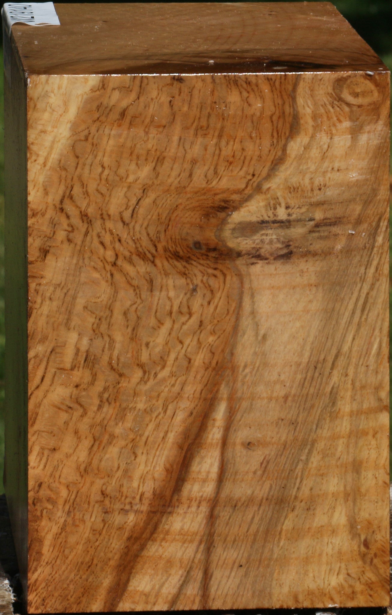 Figured Cork Oak Bowl Blank