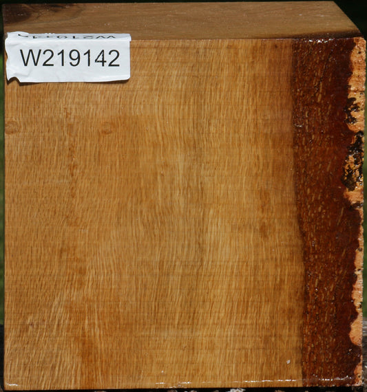 Figured Cork Oak Bowl Blank