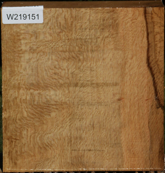 Figured Cork Oak Bowl Blank