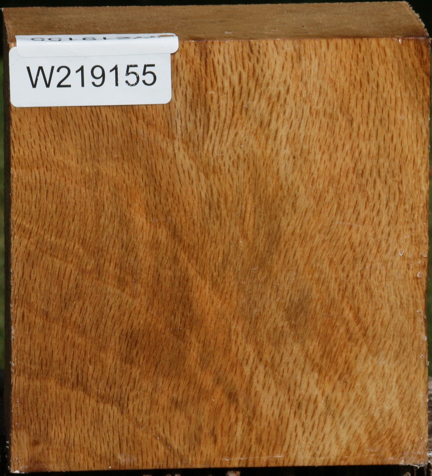 Figured Cork Oak Bowl Blank