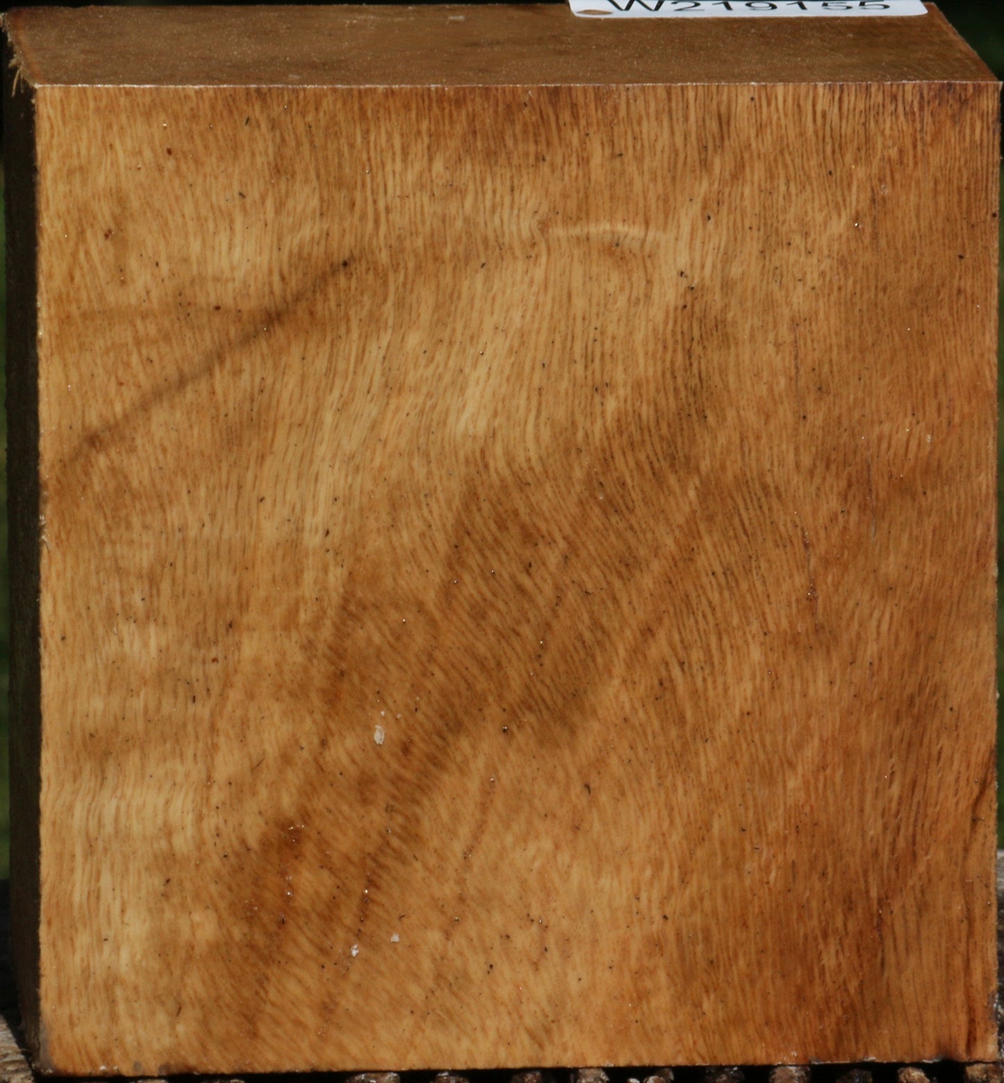 Figured Cork Oak Bowl Blank