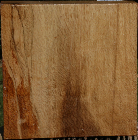 Figured Cork Oak Bowl Blank