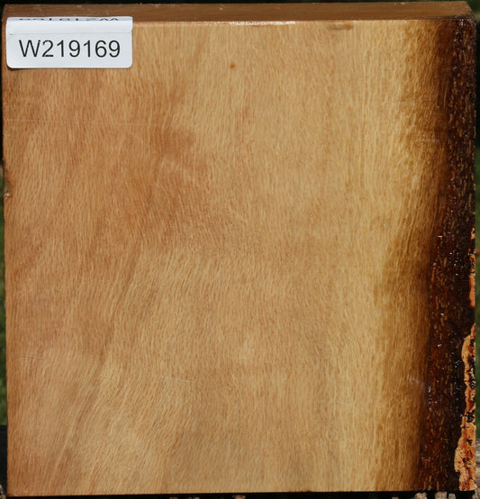 Figured Cork Oak Bowl Blank