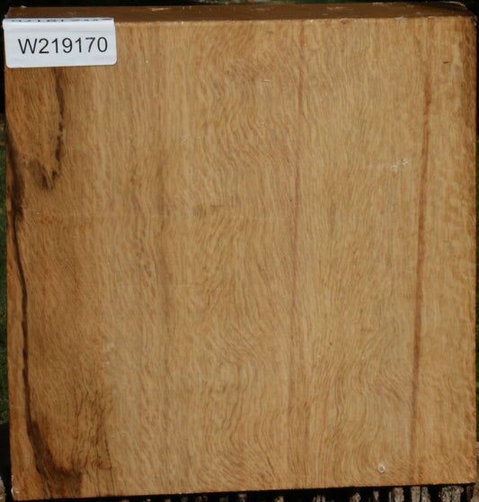 Figured Cork Oak Bowl Blank