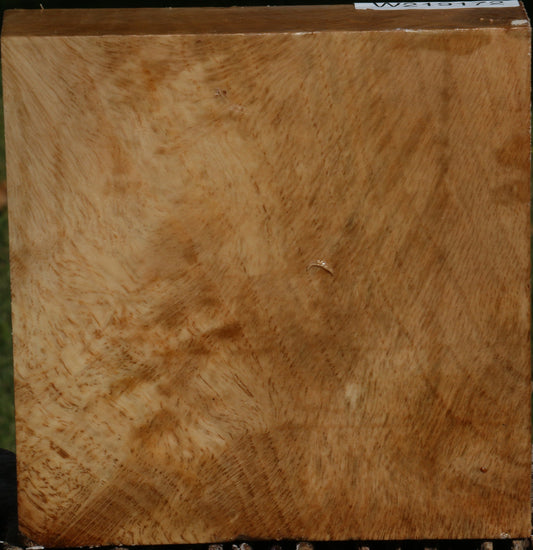 Figured Cork Oak Bowl Blank