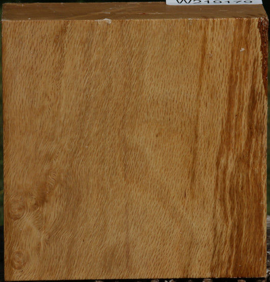 Figured Cork Oak Bowl Blank