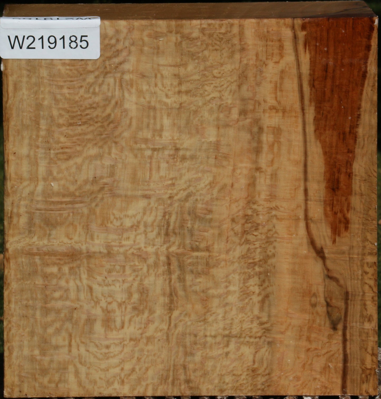 Extra Fancy Cork Oak Bowl Blank