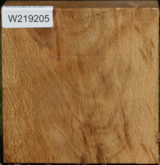 Figured Cork Oak Bowl Blank