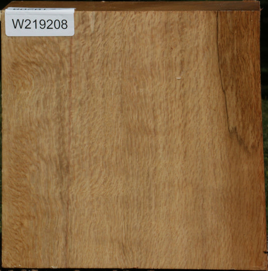 Figured Cork Oak Bowl Blank