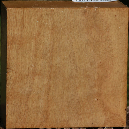 Figured Cork Oak Bowl Blank