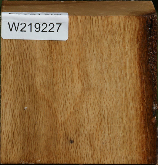 Figured Cork Oak Bowl Blank