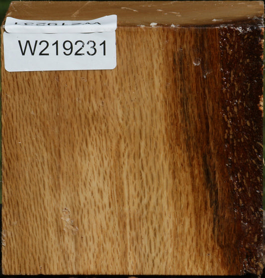 Figured Cork Oak Bowl Blank