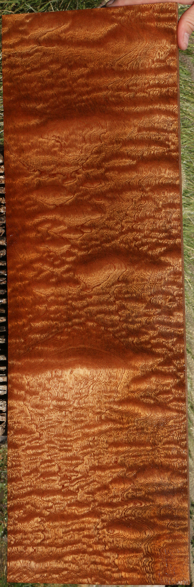 Exhibition Sapele Instrument Lumber