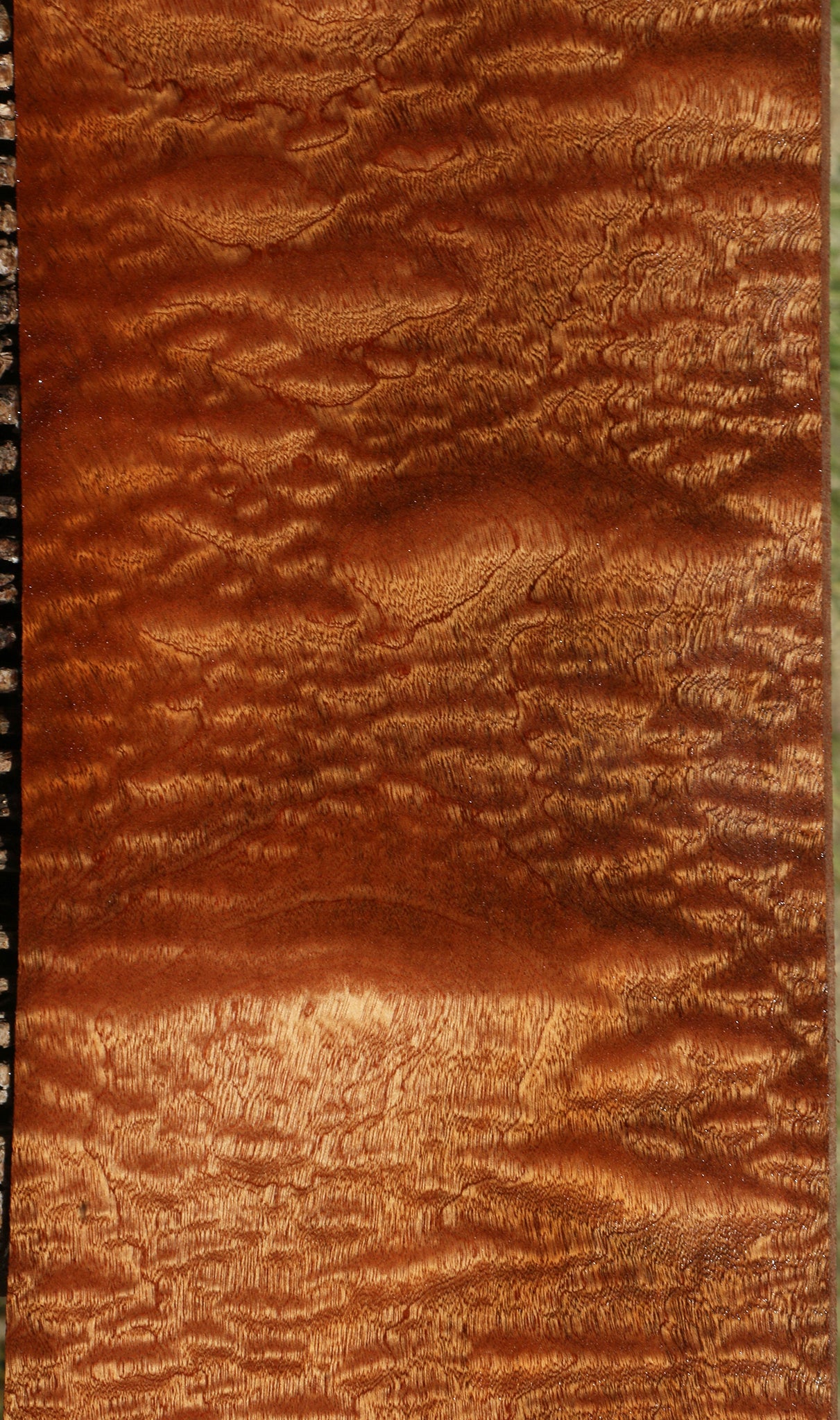 Exhibition Sapele Instrument Lumber