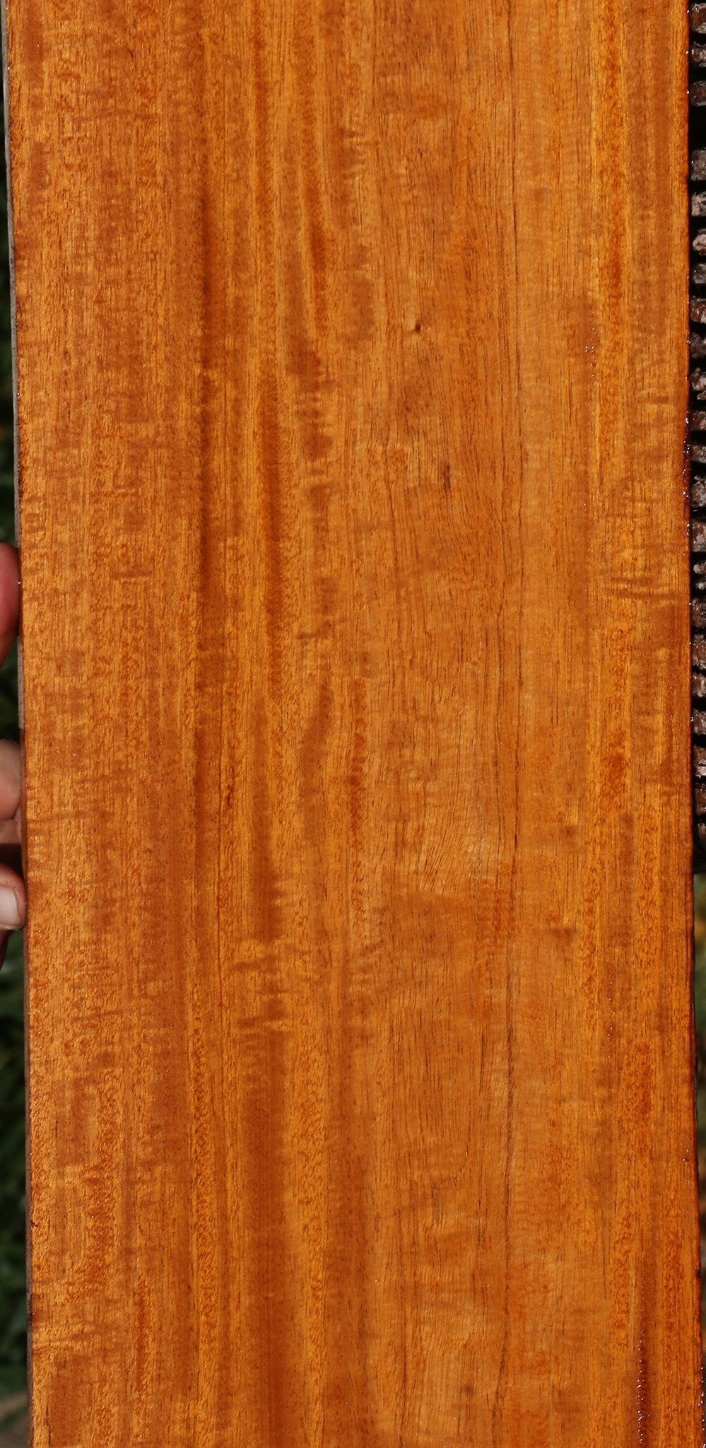 Figured Honduras Mahogany Lumber